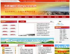 武漢網(wǎng)站建設(shè)與軟件開發(fā) 陸叁玖科技的專業(yè)服務(wù)指南