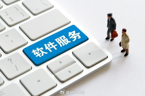 軟件開發(fā)板塊震蕩走強(qiáng)，上海IT運(yùn)維外包迎發(fā)展新機(jī)遇