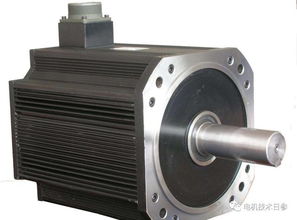 同步電動(dòng)機(jī)勵(lì)磁控制系統(tǒng)對(duì)振蕩的影響與研發(fā)關(guān)鍵